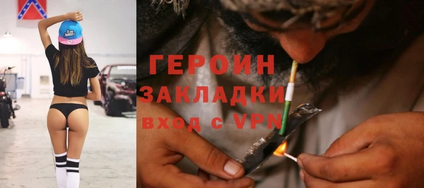 гашик Алексин