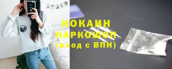 гашик Алексин