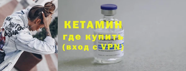 гашик Алексин