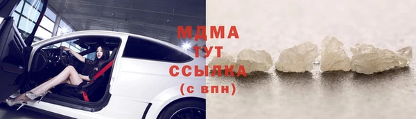 гашик Алексин