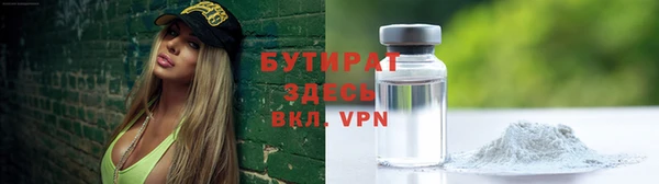 гашик Алексин