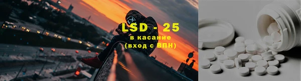 гашик Алексин