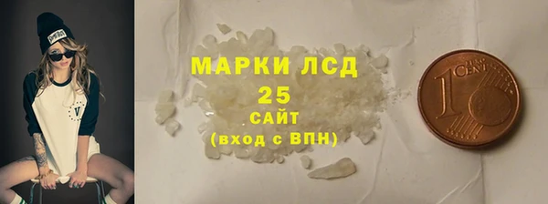 гашик Алексин
