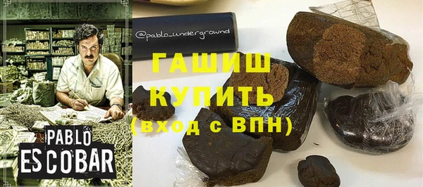 гашик Алексин