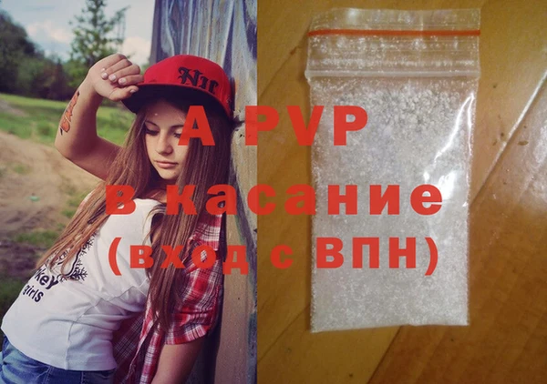 крисы Алзамай