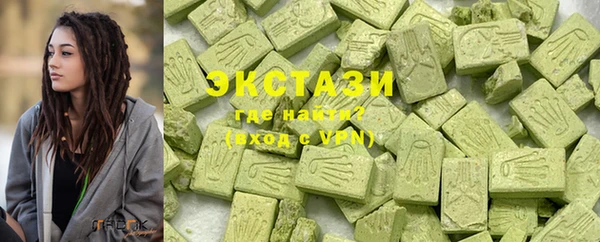 гашик Алексин
